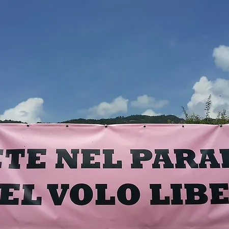 Il Profilo *
